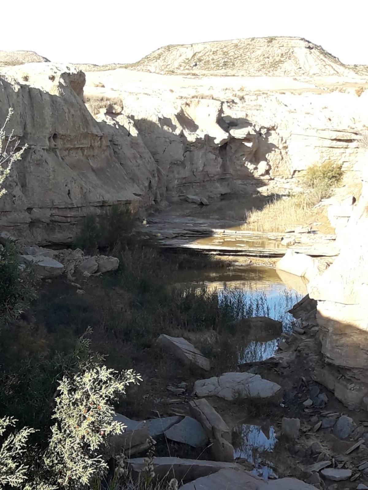 הוילה ארגואדס La Manguita Bardenas מראה חיצוני תמונה